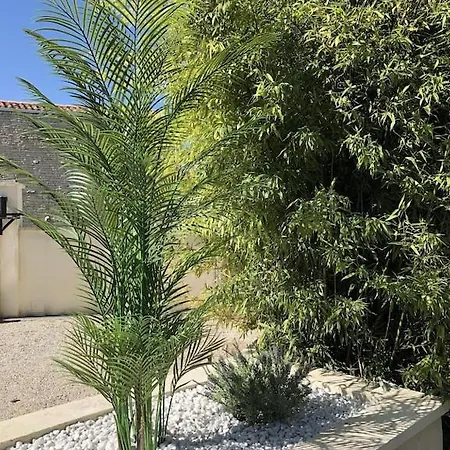 Beautiful Renovated Farmhouse With Private Heated Pool. 別荘 Saint-Pierre-d'Amilly